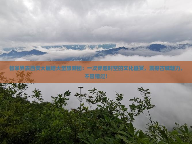 张家界去西安大雁塔大型旅游团