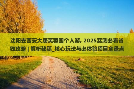 沈阳去西安大唐芙蓉园个人游