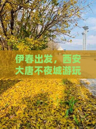 伊春去西安大唐不夜城个人游