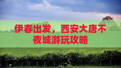 伊春去西安大唐不夜城个人游