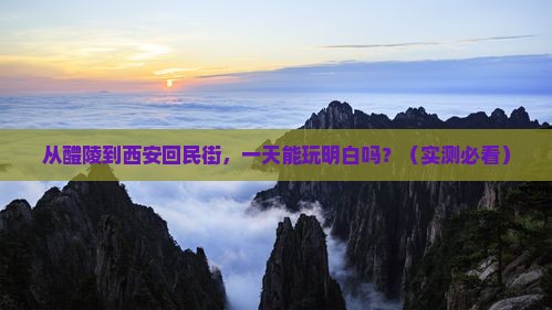 醴陵到西安回民街一日游