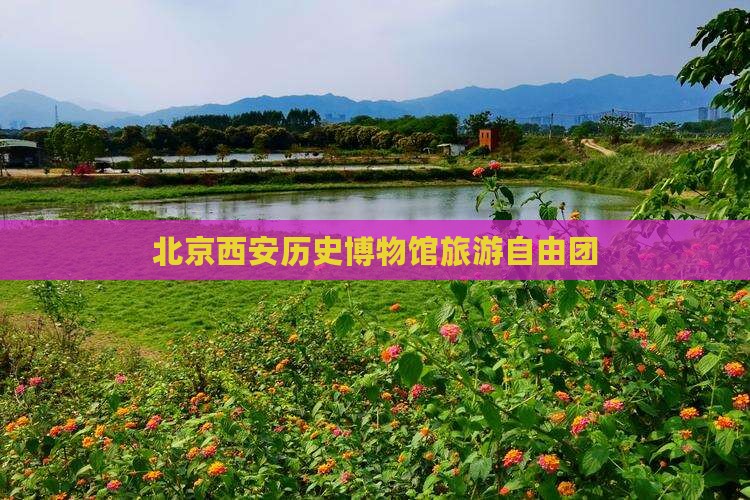 北京去西安陕西历史博物馆自由团
