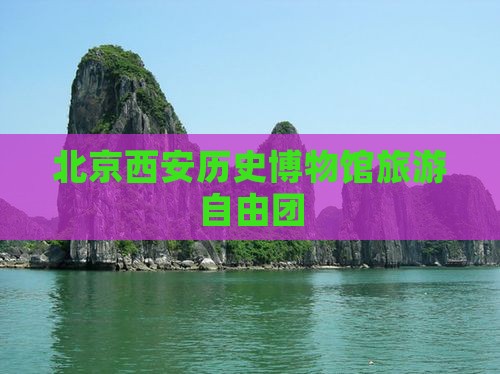 北京去西安陕西历史博物馆自由团