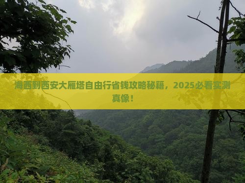海西到西安大雁塔自由团