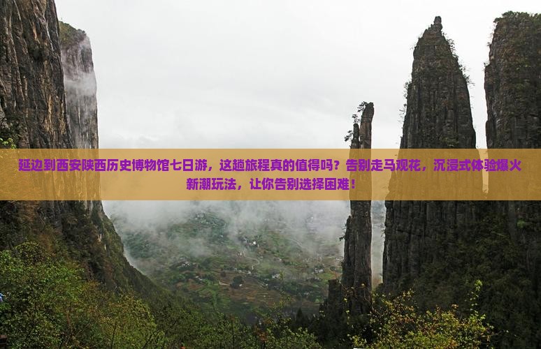 延边到西安陕西历史博物馆七日游