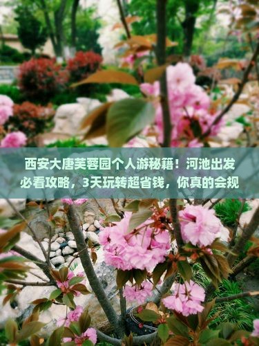 河池去西安大唐芙蓉园个人游