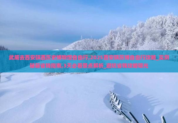 武威去西安陕西历史博物馆自由行