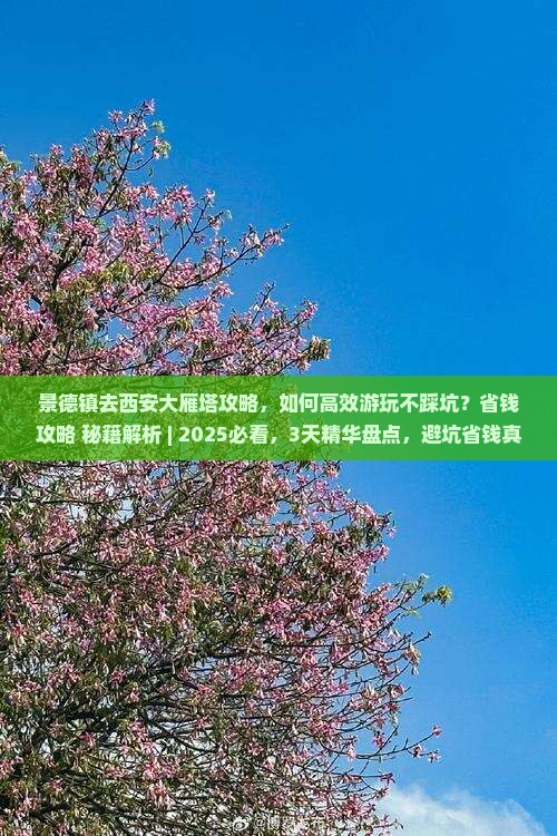 景德镇去西安大雁塔攻略