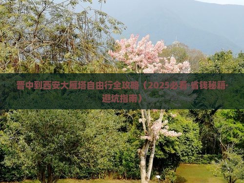 晋中去西安大雁塔自由团