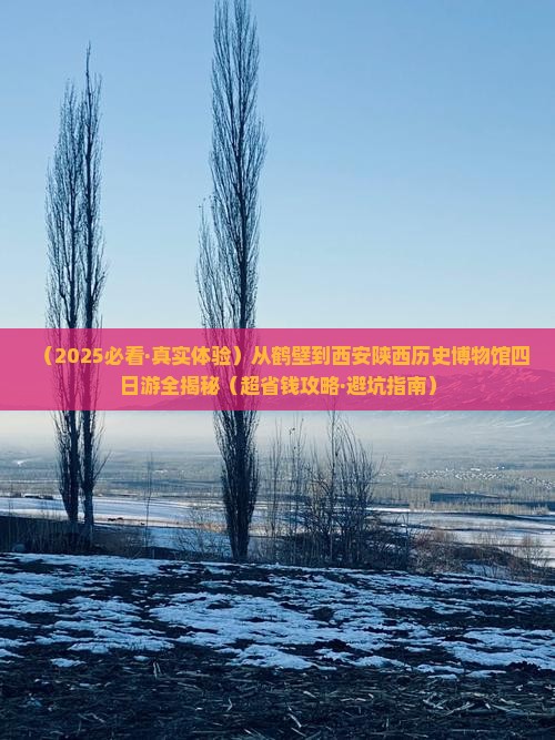 鹤壁去西安陕西历史博物馆四日游