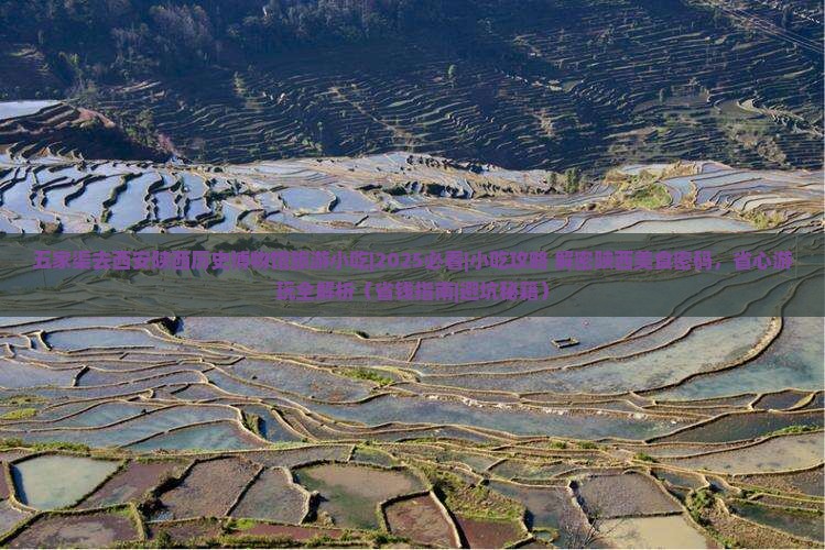 五家渠去西安陕西历史博物馆旅游小吃