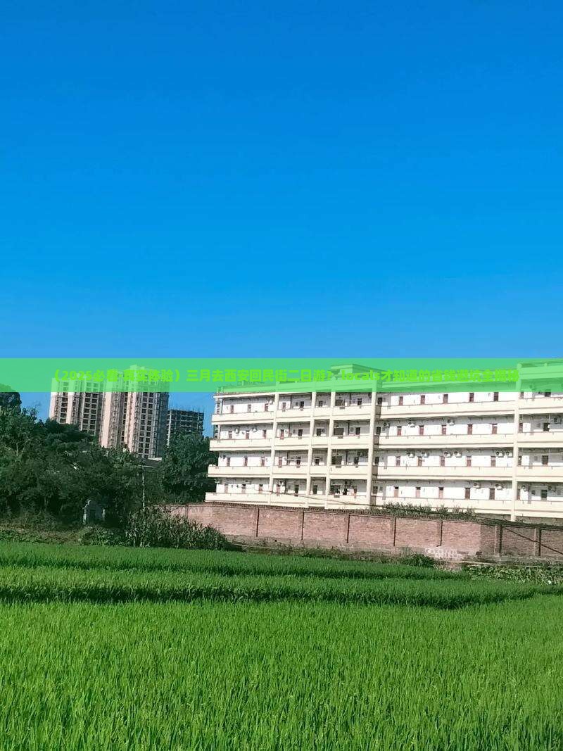 三月到西安回民街二日游
