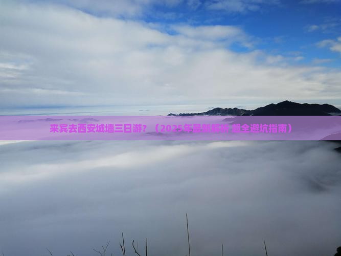 来宾去西安城墙三日游