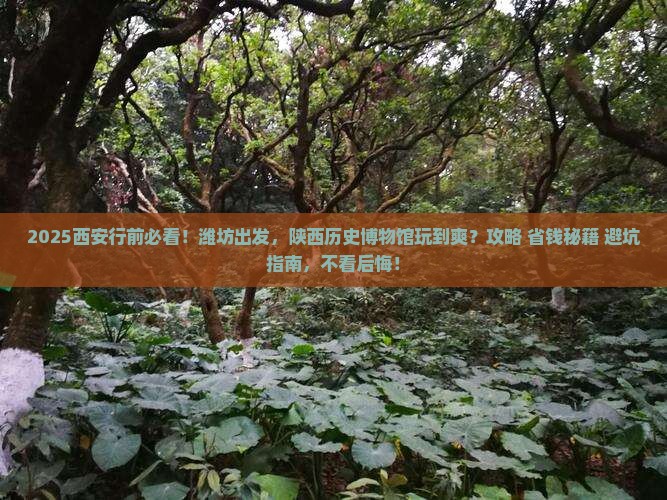 潍坊去西安陕西历史博物馆哪里玩 潍坊去西安陕西历史博物馆哪里玩