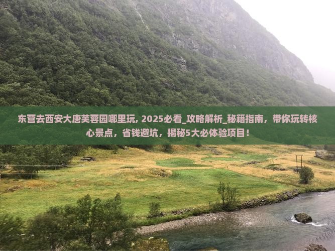 东营去西安大唐芙蓉园哪里玩