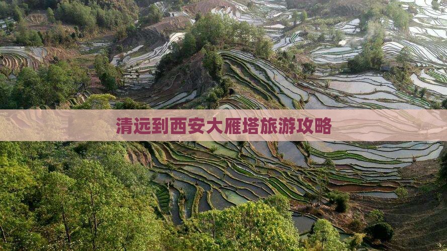 清远到西安大雁塔攻略