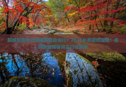 聊城到西安大唐芙蓉园自由行