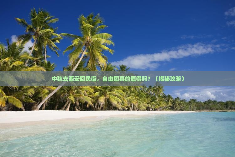 中秋节去西安回民街自由团