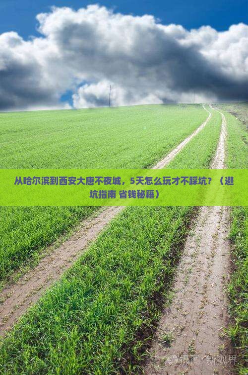 哈尔滨到西安大唐不夜城旅游