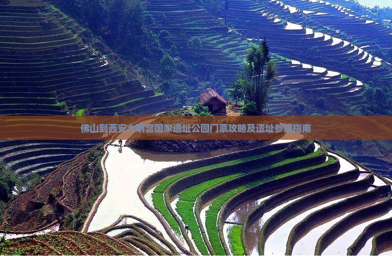 佛山到西安大明宫国家遗址公园门票