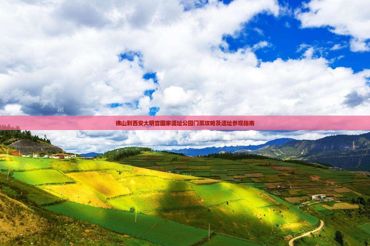 佛山到西安大明宫国家遗址公园门票