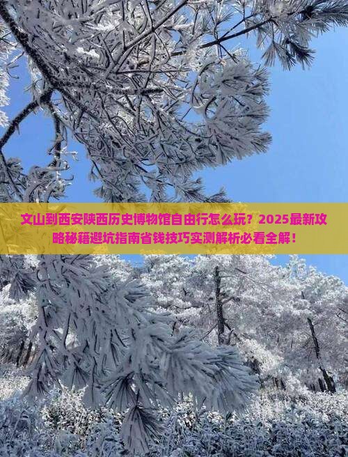 文山到西安陕西历史博物馆自由行