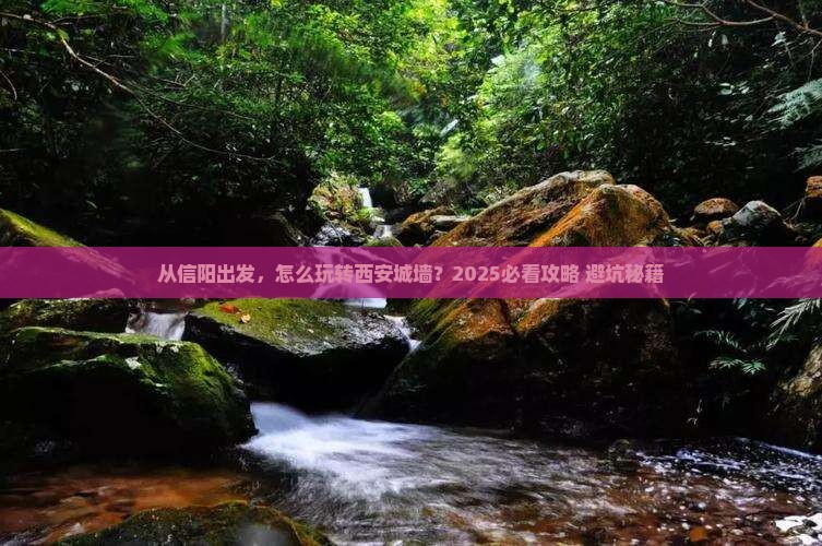 信阳去西安城墙景点 信阳去西安城墙景点