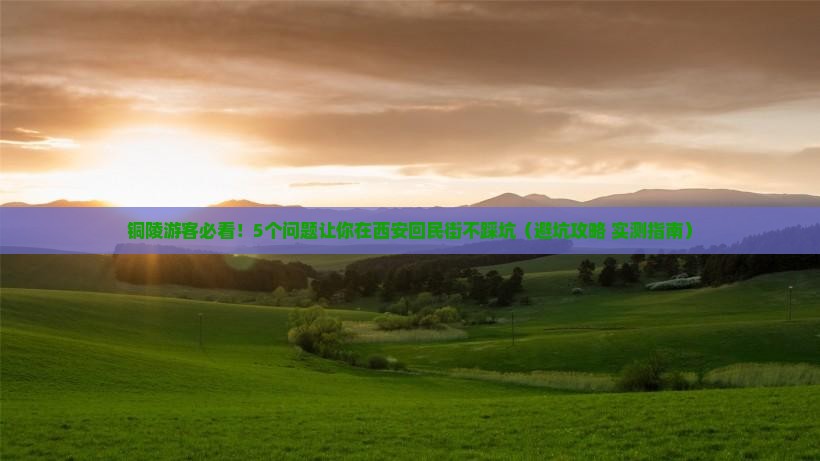 铜陵去西安回民街大型旅游团