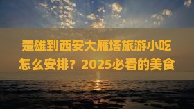 楚雄到西安大雁塔旅游小吃