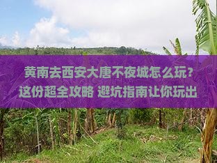 黄南去西安大唐不夜城哪里玩