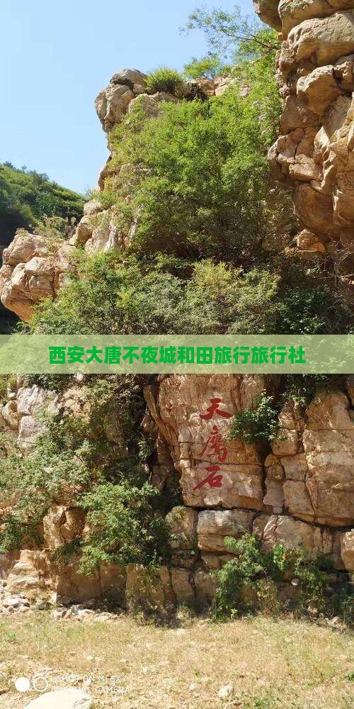 和田去西安大唐不夜城旅行社