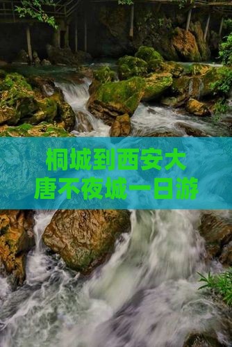 桐城到西安大唐不夜城一日游