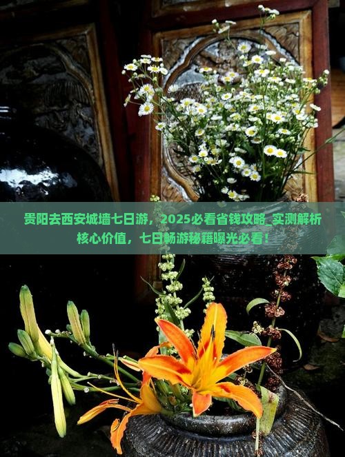 贵阳去西安城墙七日游