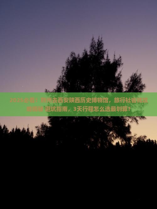 荆州去西安陕西历史博物馆旅行社
