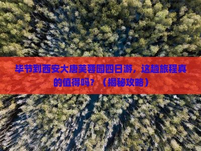 毕节到西安大唐芙蓉园四日游