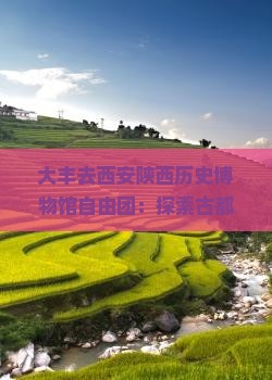 大丰去西安陕西历史博物馆自由团