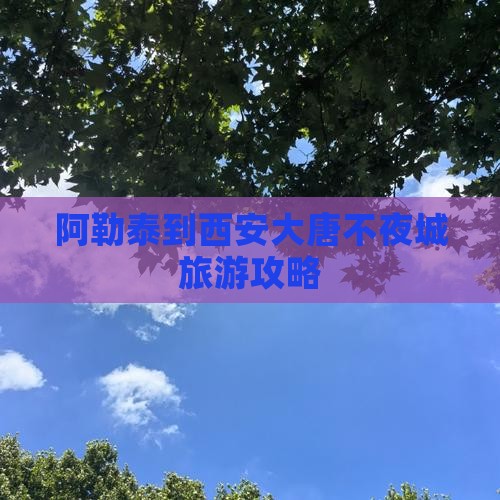 阿勒泰去西安大唐不夜城哪里玩