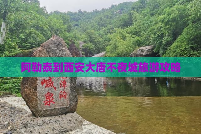 阿勒泰去西安大唐不夜城哪里玩