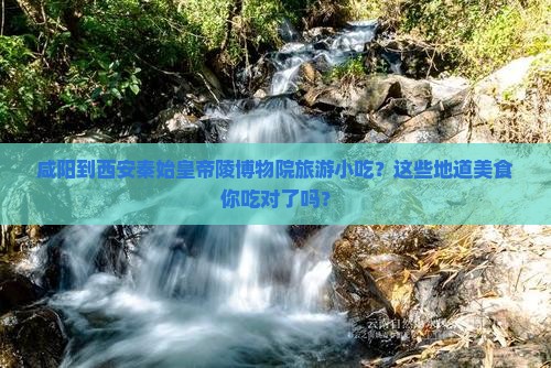 咸阳到西安秦始皇帝陵博物院旅游小吃