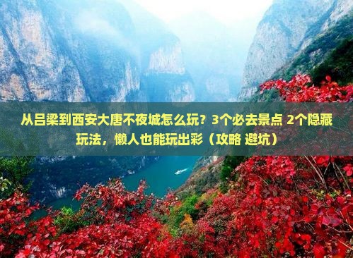 吕梁去西安大唐不夜城哪里玩