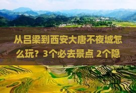 吕梁去西安大唐不夜城哪里玩