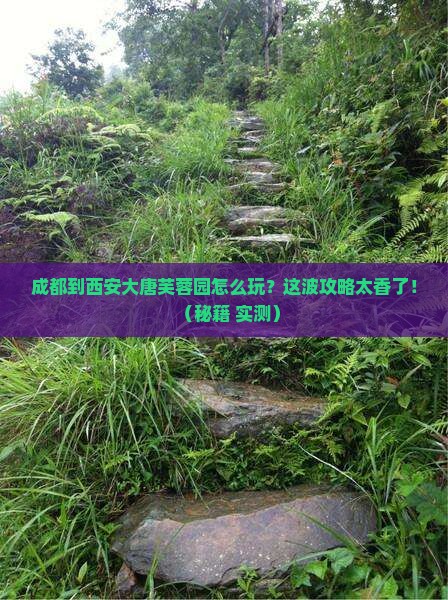 成都到西安大唐芙蓉园哪里玩