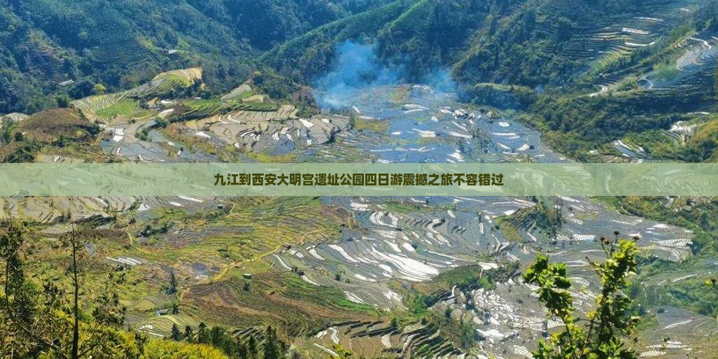 九江到西安大明宫国家遗址公园四日游