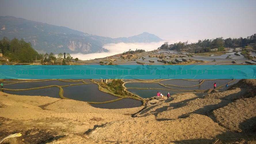 陇南去西安回民街旅游