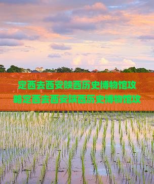 定西去西安陕西历史博物馆攻略