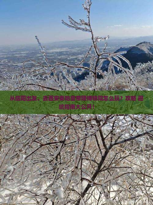 信阳去西安秦始皇帝陵博物院景点