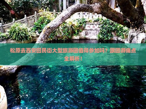松原去西安回民街大型旅游团