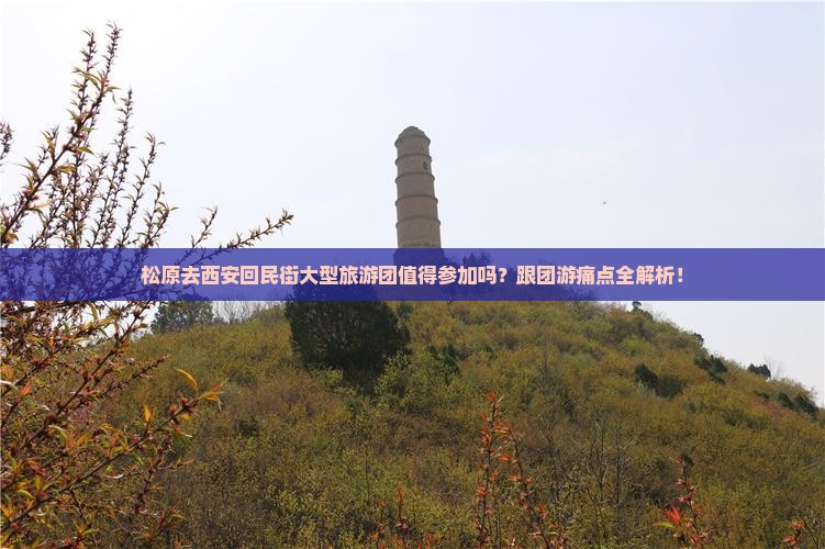 松原去西安回民街大型旅游团