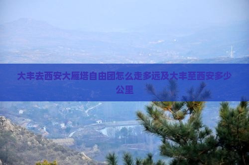 大丰去西安大雁塔自由团