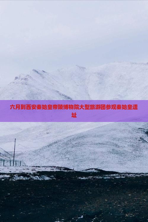 六月到西安秦始皇帝陵博物院大型旅游团